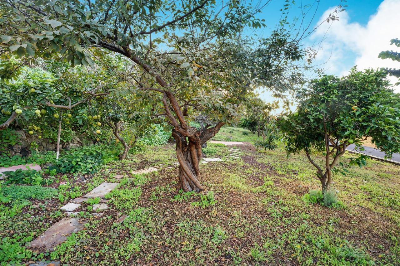 Villa Casa La Victoria La Victoria de Acentejo Exterior foto